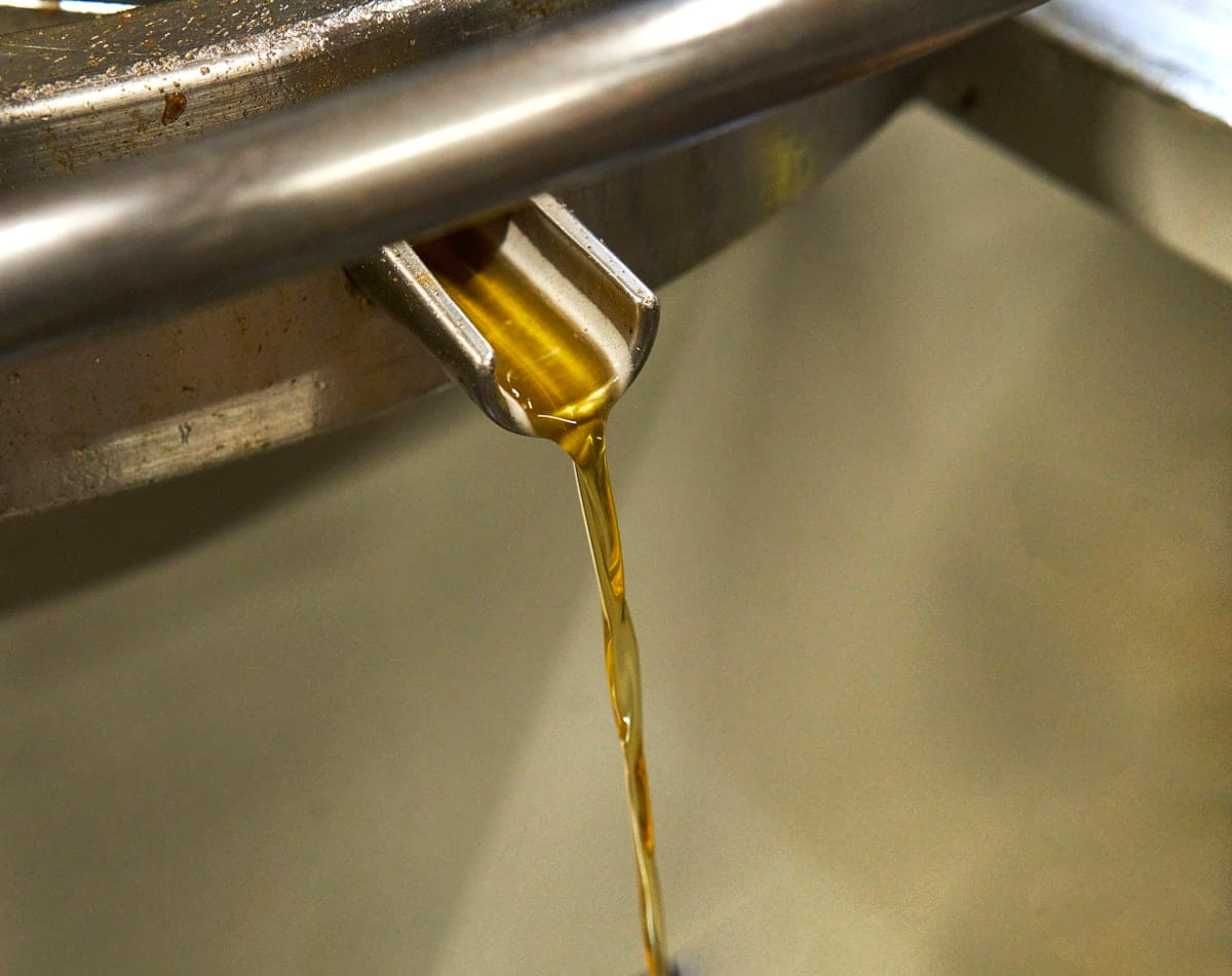 Cold pressed olive oil — golden oil extracted below 27 degrees